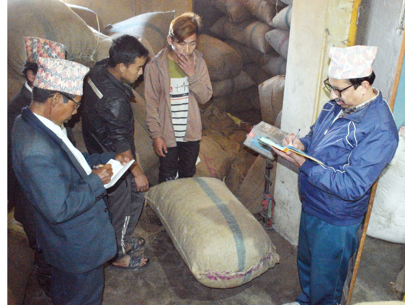 अलैँचीले दाेब्बर मूल्य पाएपछि ताप्लेजुङका किसान उत्साहित